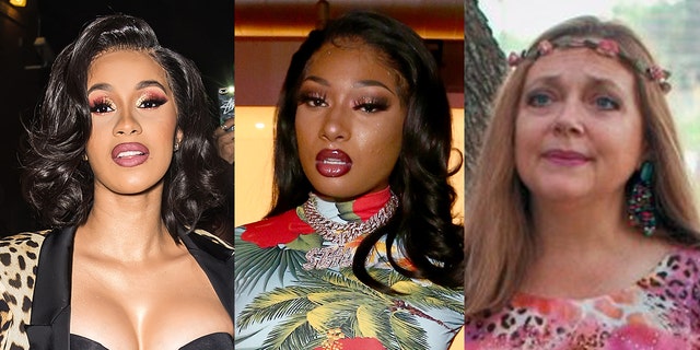 Cardi B and Megan Thee Stallion were called out by 'Tiger King' star Carole Baskin over their new 'WAP' music video.