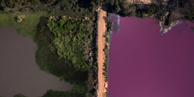 Residents said that the lagoon's color changed several months ago and local wildlife began to die in droves. (AP Photo/Jorge Saenz)