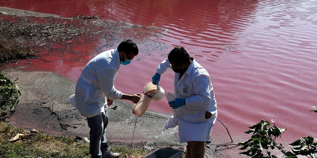 Marcelo Coronel, left, and Francisco Ferreira, technicians from the National University Multidisciplinary Lab, take samples from the Cerro Lagoon where the water is colored in Limpio, Paraguay, on Wednesday. (AP Photo/Jorge Saenz)