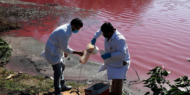 Marcelo Coronel, left, and Francisco Ferreira, technicians from the National University Multidisciplinary Lab, take samples from the Cerro Lagoon where the water is colored in Limpio, Paraguay, on Wednesday. (AP Photo/Jorge Saenz)