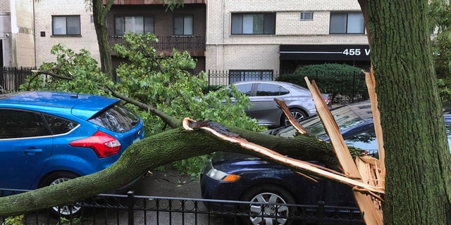 A downed tree limb blocks a roadway in Chicago's Lakeview neighborhood on Monday, Aug. 10, 2020.