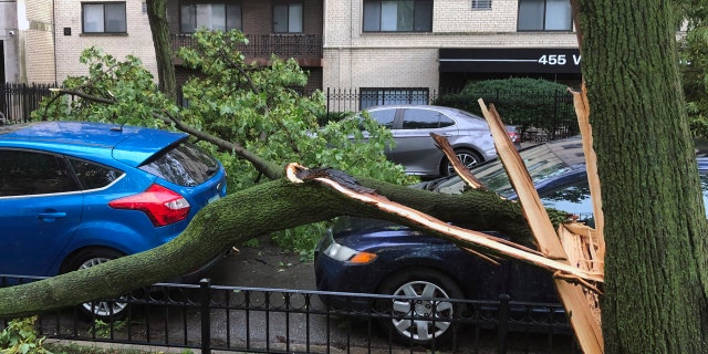 A downed tree limb blocks a roadway in Chicago's Lakeview neighborhood on Monday, Aug. 10, 2020.