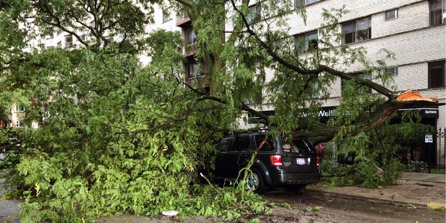 A downed tree limb blocks a roadway in Chicago's Lakeview neighborhood on Monday, Aug. 10, 2020.