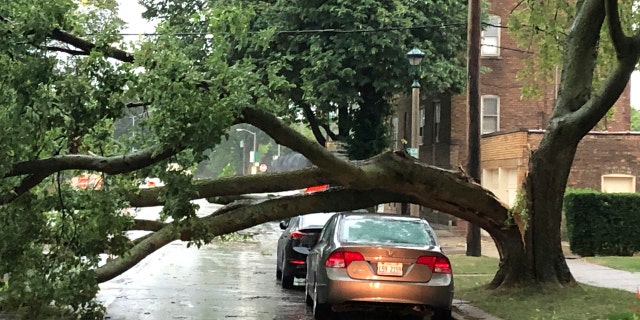 Part of a tree that had split at the trunk lies on a road in Oak Park, Ill., while also appearing not to have landed on a car parked on the road, after a severe storm moved through the Chicago area Monday, Aug. 10, 2020.