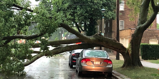 Part of a tree that had split at the trunk lies on a road in Oak Park, Ill., while also appearing not to have landed on a car parked on the road, after a severe storm moved through the Chicago area Monday, Aug. 10, 2020.