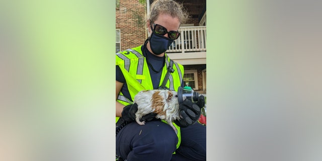 Facebook commenters thanked the first responders for their bravery in fighting the fire and saving the animals.