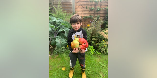 Smith watered his tomato plant at least once every day for over two months, using water with a bit of liquid seaweed mix.