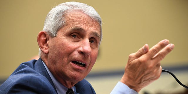 Dr. Anthony Fauci, director of the National Institute for Allergy and Infectious Diseases, testifies before a House Subcommittee on the Coronavirus Crisis hearing on July 31, 2020, in Washington, DC. (Photo by Kevin Dietsch-Pool/Getty Images)