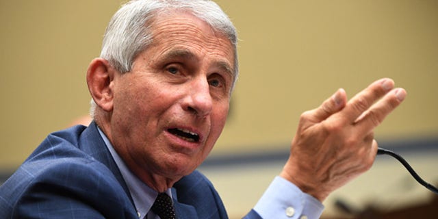 Dr. Anthony Fauci, director of the National Institute for Allergy and Infectious Diseases, testifies before a House Subcommittee on the Coronavirus Crisis hearing on July 31, 2020, in Washington, DC. (Photo by Kevin Dietsch-Pool/Getty Images)