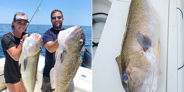 David Lowe and his golden tilefish.