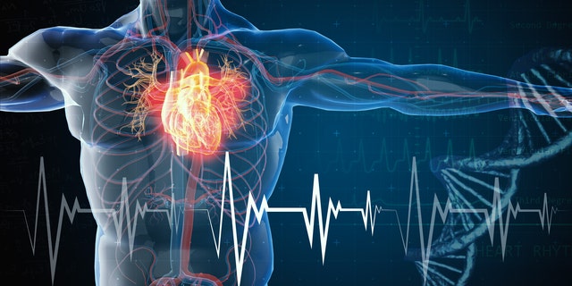 Wearable health trackers with sensing expertise might intervene with implantable cardiac units: examine
