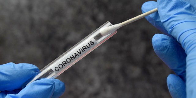 Florida, Texas, Arizona, Illinois, California, New York, New Jersey and Connecticut said they would continue to test people exposed to COVID-19 to help mitigate the spread of the new coronavirus .