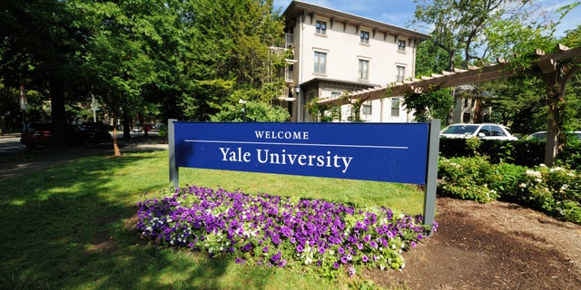 New Haven, Connecticut, EE.UU. - 25 de julio de 2016: Bienvenido al cartel de la Universidad de Yale ubicado a lo largo de Trumbull Street en New Haven, Connecticut.  Fotografía tomada con flores moradas que florecen bajo el letrero.