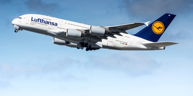 Camila Alves said the Lufthansa flight she was on "dropped almost 4,000 feet" amid the turbulence. 