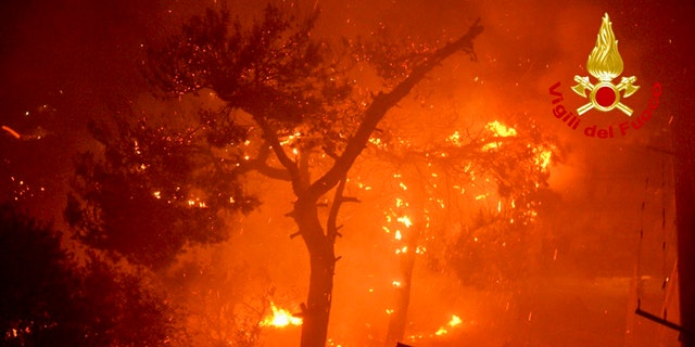 Flames burn trees near the town of Altofonte, near the Sicilian city of Palermo, southern Italy, Saturday, Aug. 29, 2020.
