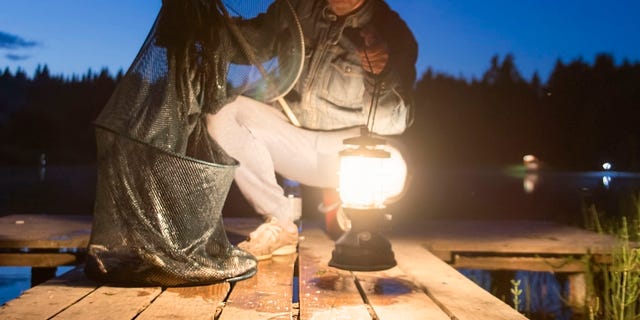 Fishermen hoping to catch these large fish will set up camp near a good river, sleep during the day and wake up ready to reel in a monster, the Toledo Blade reports.