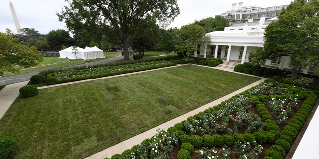 A view of the restored Rose Garden is seen at the White House in Washington, Saturday, Aug. 22, 2020.