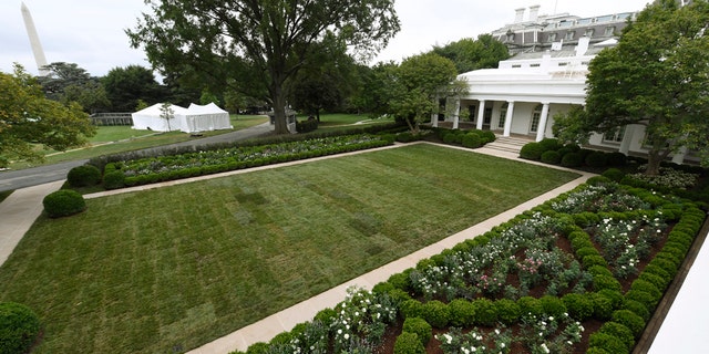 A view of the restored Rose Garden is seen at the White House in Washington, Saturday, Aug. 22, 2020. 