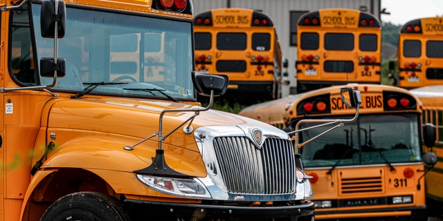Rows of school buses are parked at their terminal, in Zelienople, Pennsylvania. (AP)