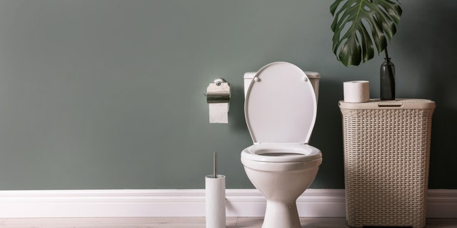 Coronavirus may travel through toilet and pipes: study 1 Coronavirus may travel through toilet and pipes: study - Blog - 1