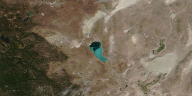A toxic algae bloom can be see on Lake Pyramid in Nevada on Aug. 13, 2020.