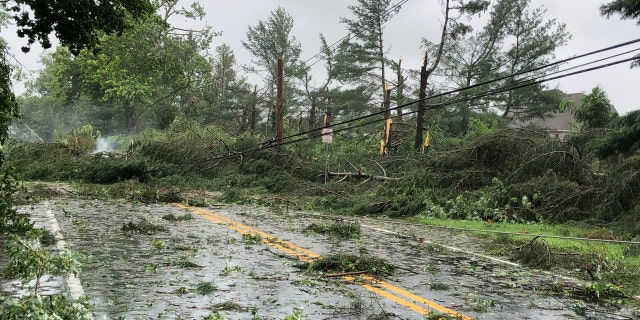 Trees lie smoldering among downed power lines after high winds and heavy rains tore through a residential neighborhood just south of Dover, Del., on Tuesday, Aug. 4, 2020.