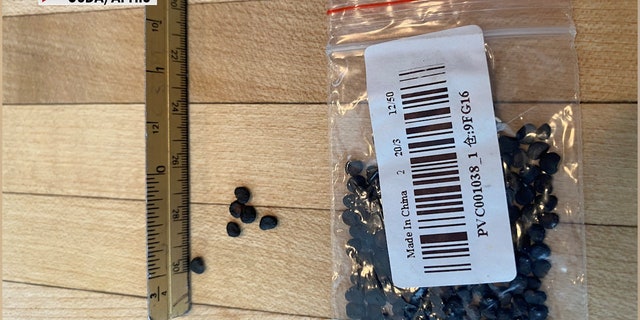 People from coast to coast have been receiving unsolicited seed packages from China. The USDA is investigating, along with state and federal agencies. (USDA, APHIS)