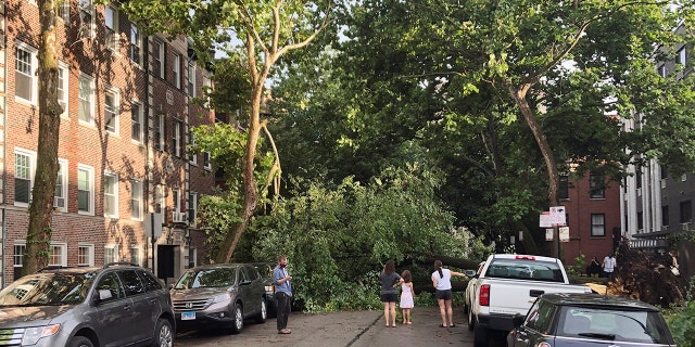 A downed tree blocks a roadway in Chicago's Lakeview neighborhood on Monday, Aug. 10, 2020. A rare storm packing 100 mph winds and with power similar to an inland hurricane swept across the Midwest on Monday, blowing over trees, flipping vehicles, causing widespread property damage, and leaving hundreds of thousands without power as it moved through Chicago and into Indiana and Michigan. (AP Photo/Tom Berman)