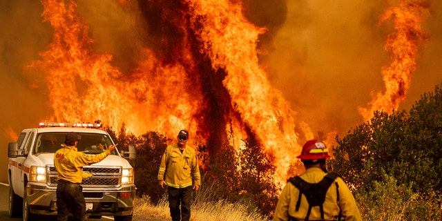 Flames from the LNU Lightning Complex fires leap above a road in Northern California on Sunday. (AP Photo/Noah Berger)