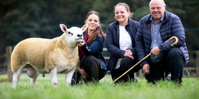 Double Diamond comes from a very respectable lineage in the sheep world. (Catherine Macgregor / SWNS)