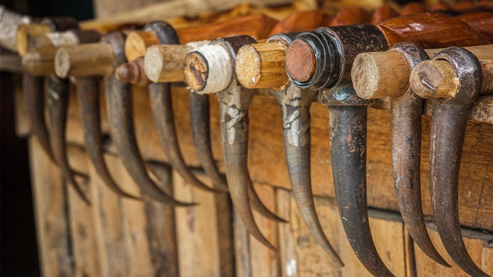 Fox News Flash top headlines for August 11