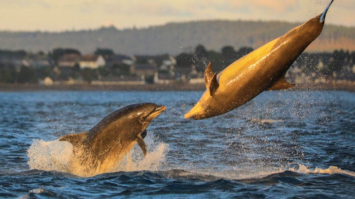 Fox News Flash top headlines for August 31