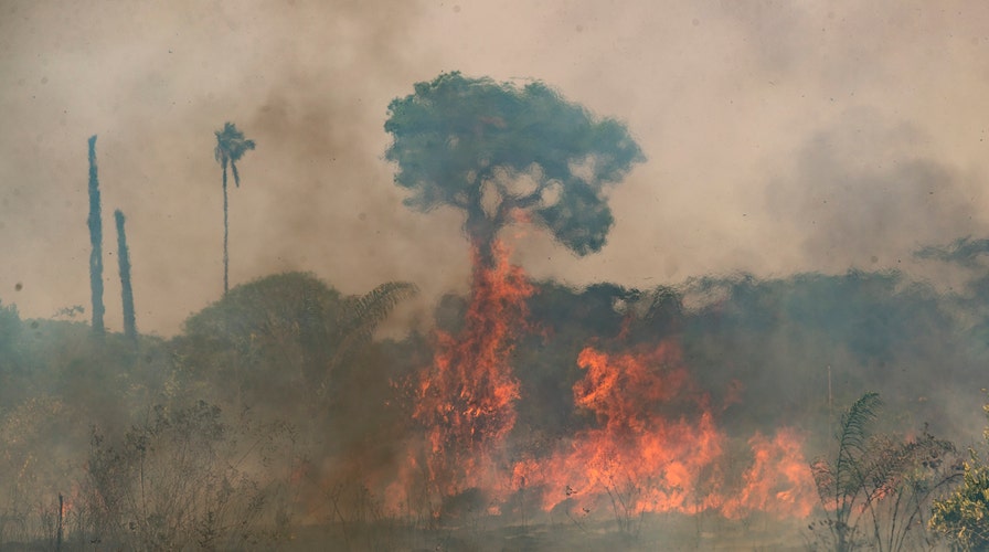 Brazilian govt. criticized for Amazon fire response