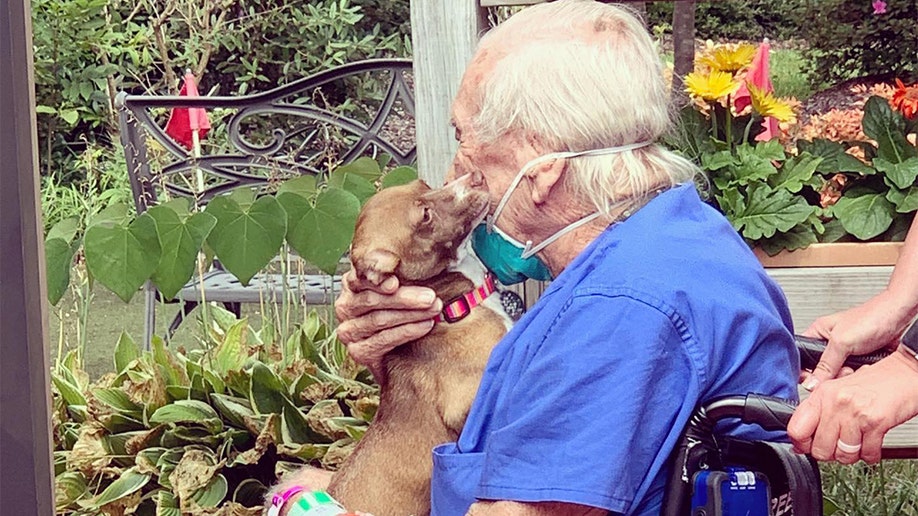 Navy veteran saved by Chihuahua after having a stroke | Fox News