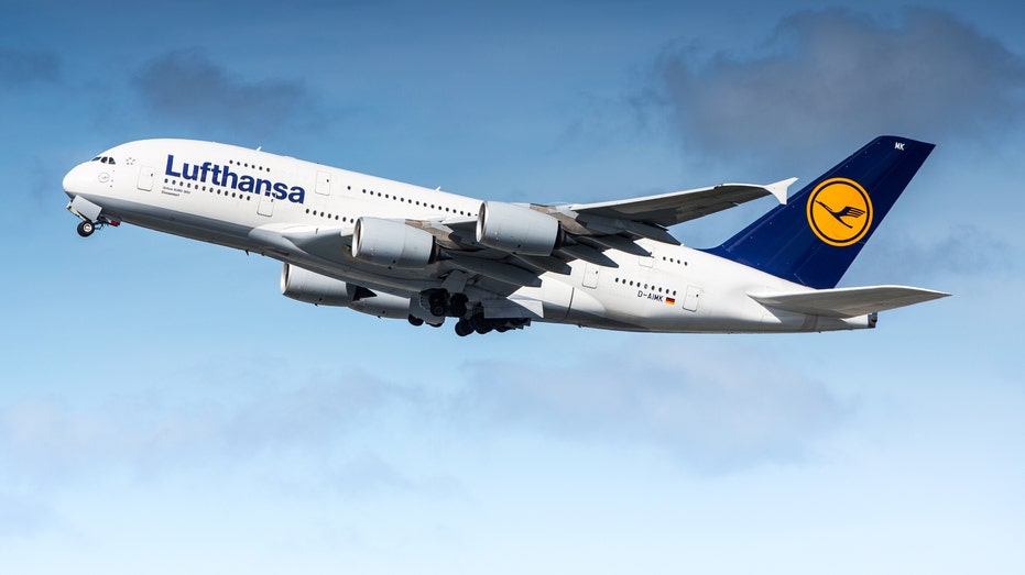 Indian national allegedly stabbed 2 teens with fork on flight