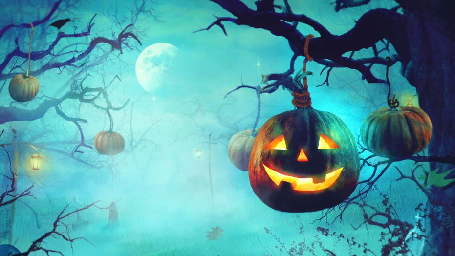 'Halloween trees': ソーシャルメディアユーザーは不気味な装飾を披露します