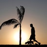 A man walks his dog as the sun sets in Asuncion, Paraguay, Aug. 1, 2020. 