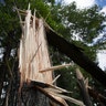 Trees are damaged off North Landing road near the court house in Virginia Beach, Va., after Tropical Storm Isaias moved through Hampton Roads, Tuesday, Aug. 4, 2020.