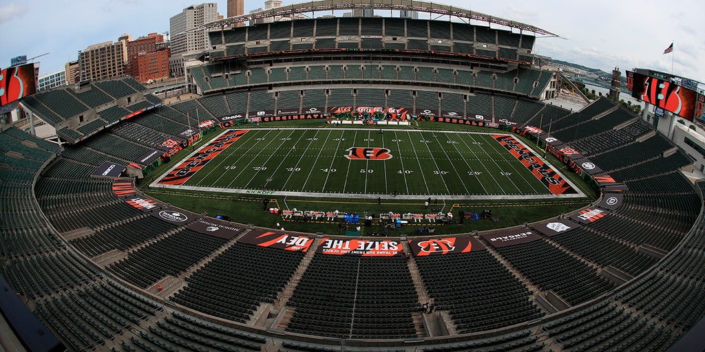 Cincinnati Bengals wide receiver Auden Tate (19) catches a