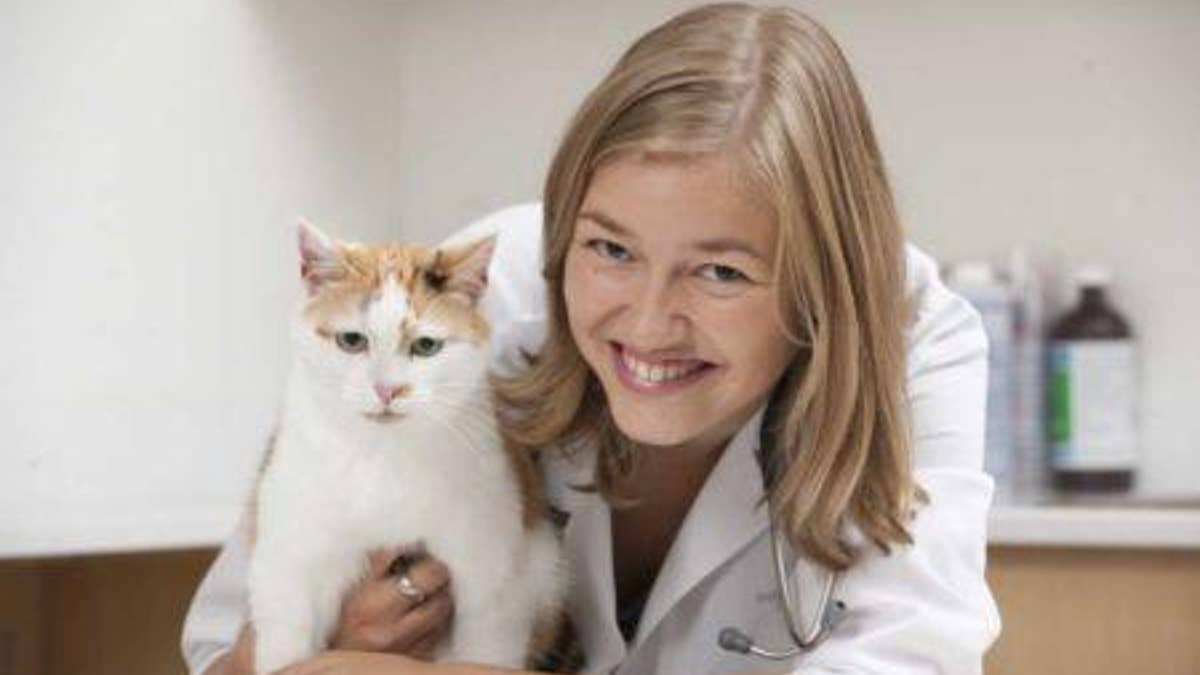 Prof. Adronie Verbrugghe said the findings " may surprise the veterinary community and many cat owners."