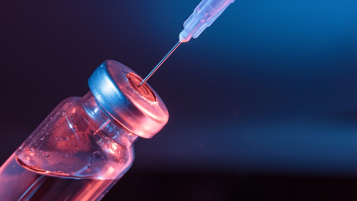 Results of a coronavirus vaccine trial  in Russia, showed an antibody response within three weeks in all participants tested in phase two of the study, according to findings released Friday.  