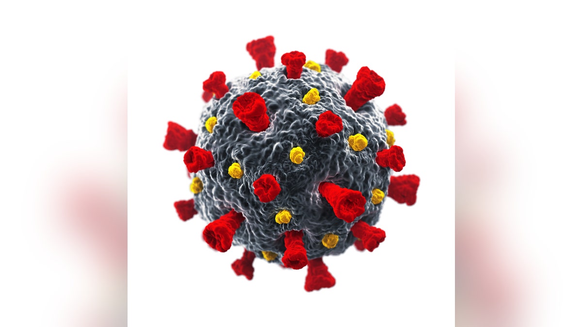 Dr. Shashi Gujar, with a group of international collaborators, is studying if the immune response against SARS-CoV-2, the virus that causes COVID-19, could be repurposed to fight cancer using the immune system<br>
courtesy: iStock