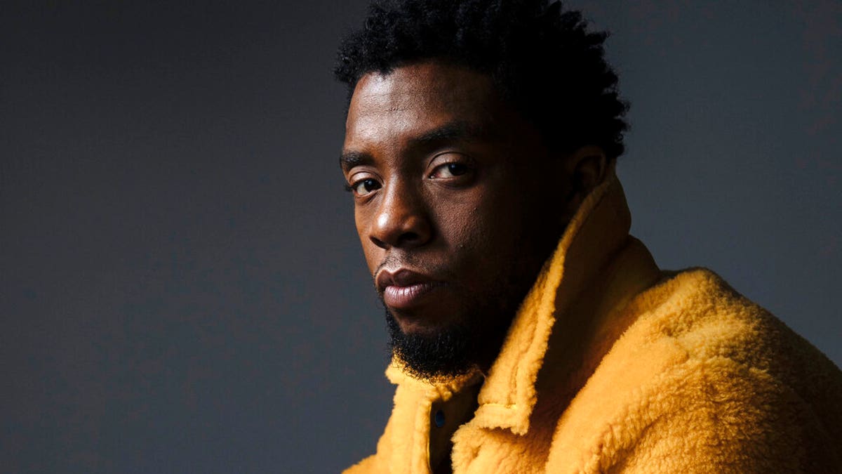 Chadwick Boseman file photo