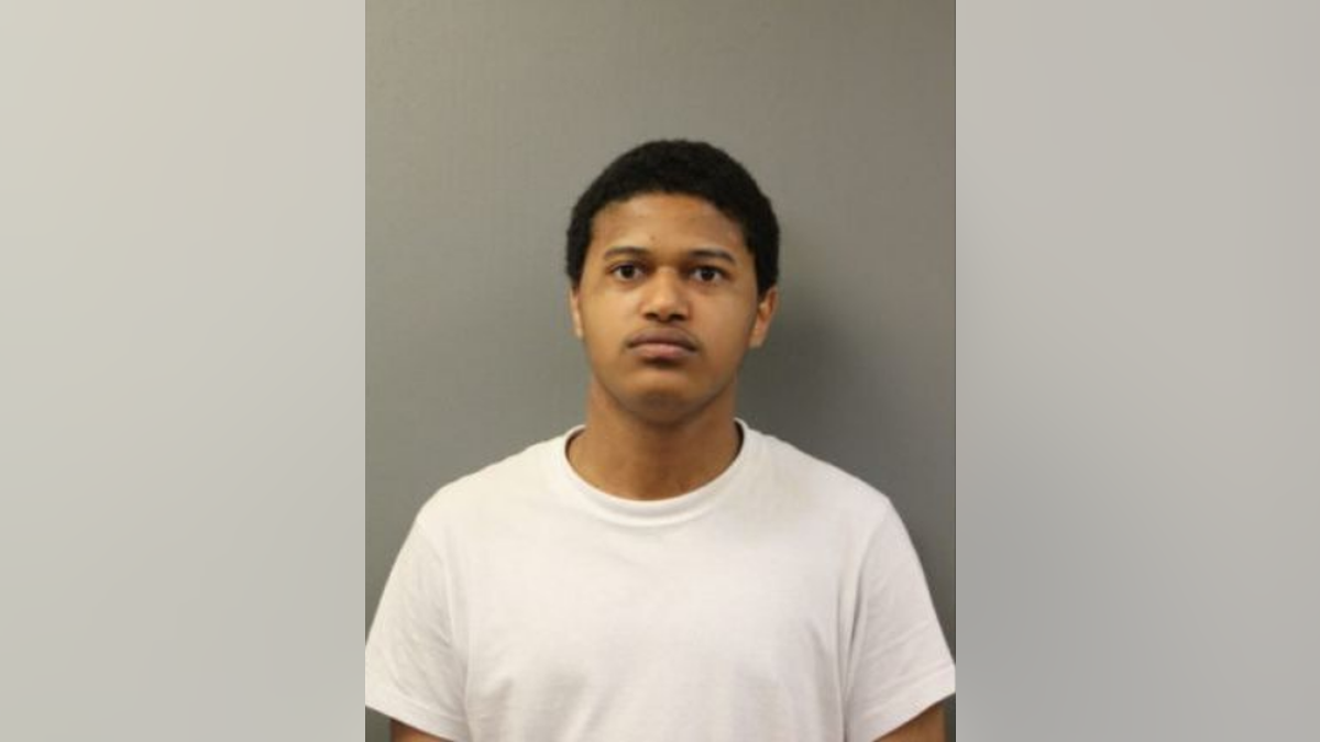 Sincere Williams, 18, was charged with fatally stabbing a Walgreens employee on Sunday. (Chicago police)