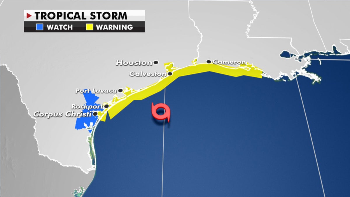 Tropical storm warnings stretch from Texas to Louisiana.