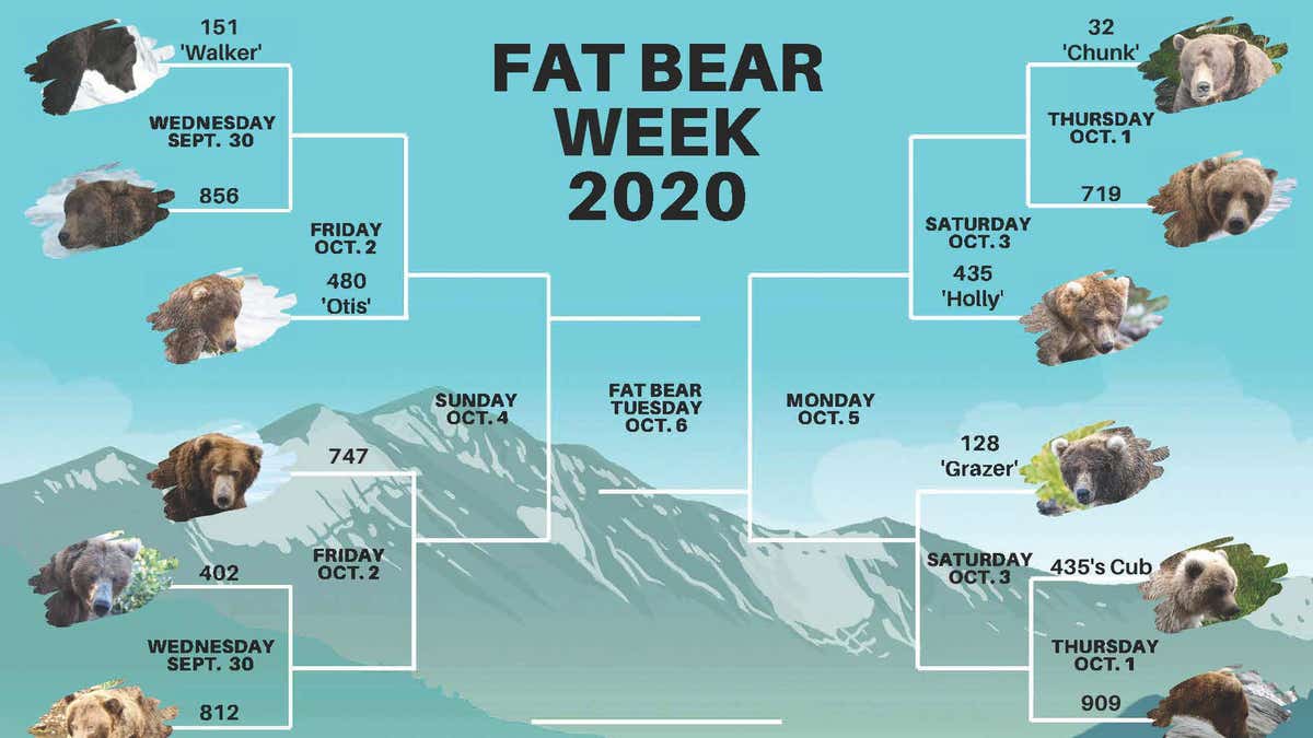Katmai National Park and Preserve's "Fat Bear Week" kicks off in September 2020.
