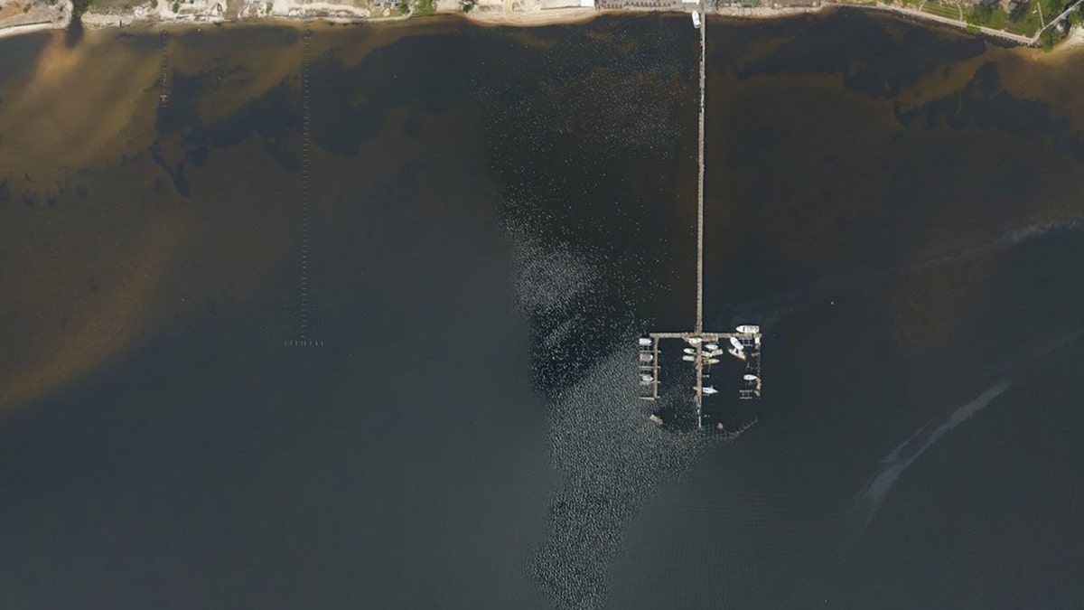 Damage to a marina in Navarre, Fla., after Hurricane Sally roared through the region.