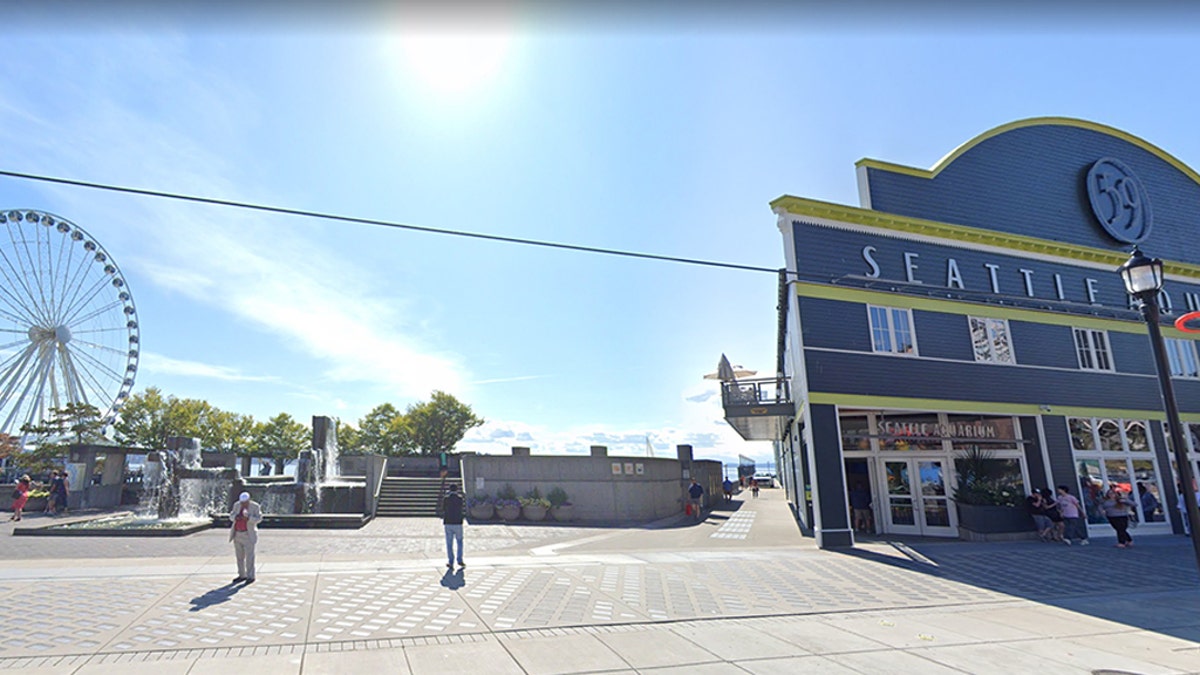 Two construction workers have been hospitalized after Seattle’s 50-year-old downtown Pier 58 partially collapsed Sunday into the water, according to reports. (Google)