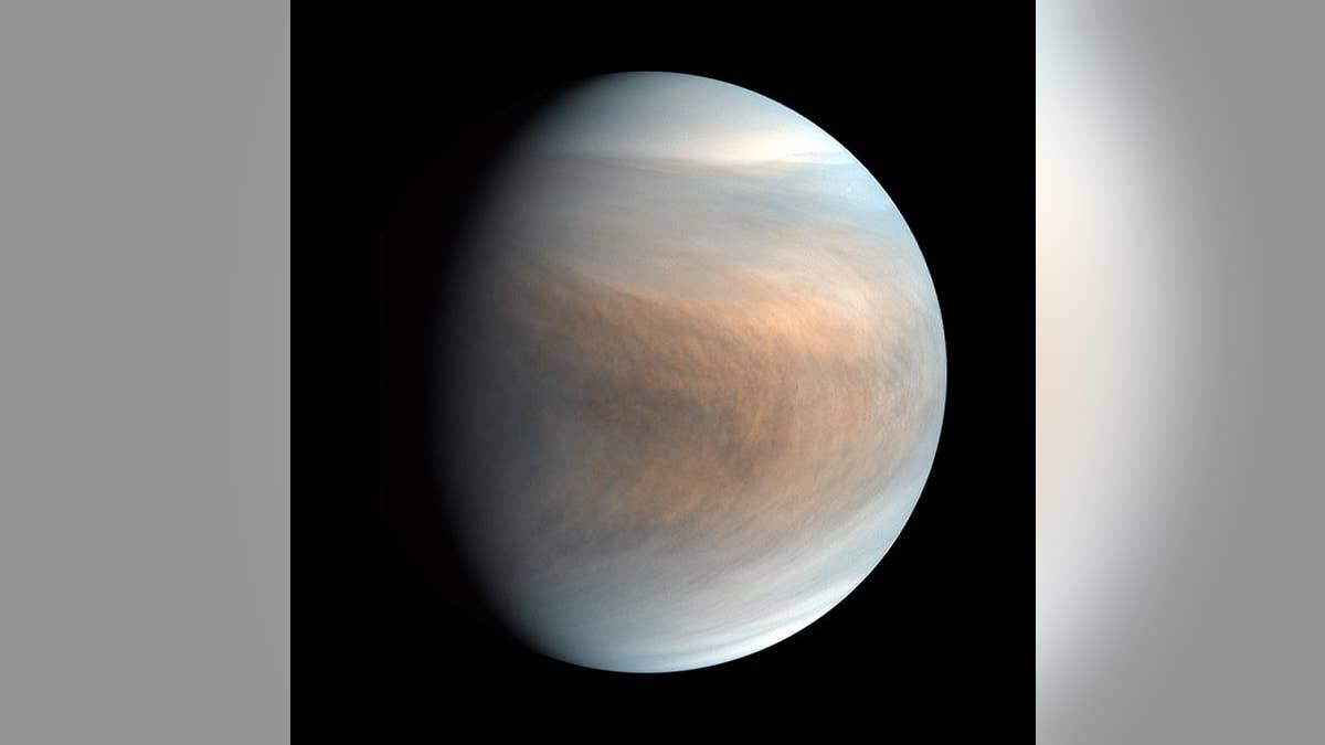 Synthesized false color image of Venus, using 283-nm and 365-nm band images taken by the Venus Ultraviolet Imager (UVI).
