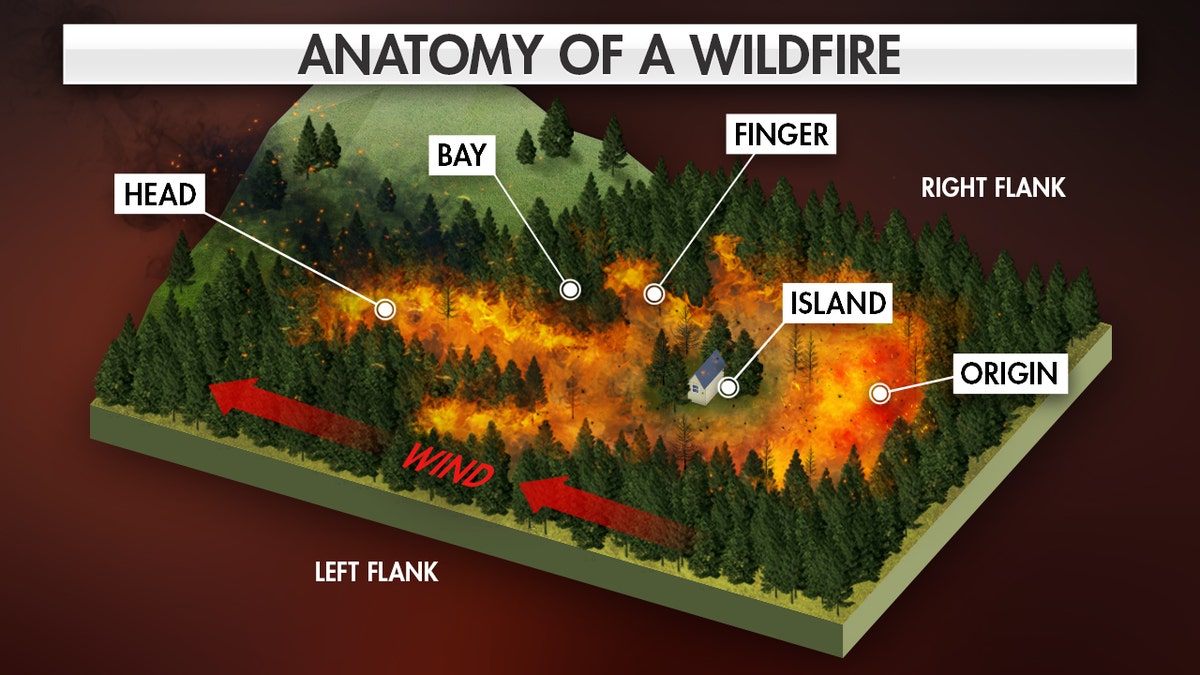 Devastating Wildfire 'anatomy' Explained | Fox News